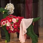 topiary Topiary by Mandy Scott Flowers