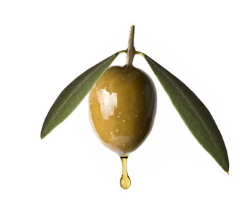 oliveoil