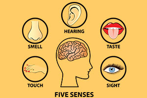 SENSORY PERCEPTION AND HOME DESIGN SENSORY PERCEPTION AND HOME DESIGN