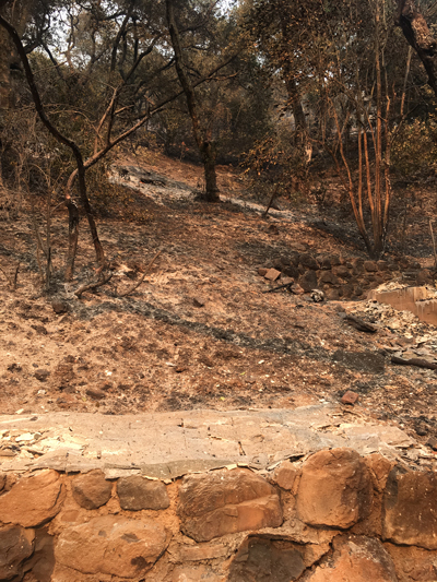 Brenda Burke, her home a total loss. Survivor stories from The Great Wine Fires of 2017 as told to The Luxury Marketing Council of San Francisco