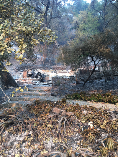 Brenda Burke, her home a total loss. Survivor stories from The Great Wine Fires of 2017 as told to The Luxury Marketing Council of San Francisco