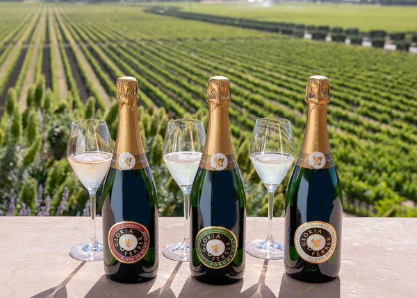 three bottles of Gloria Ferrer sparkling wine